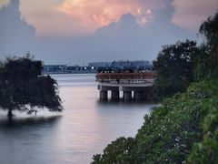 -宝安西湾红树林湿地公园