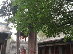-窦大夫祠
