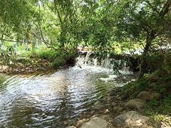 -长白岛森林公园