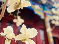 -天津大悲禅院