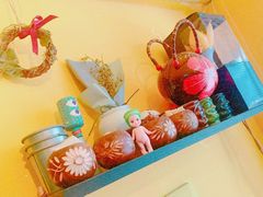 -志龙皇冠吃货椰子铺