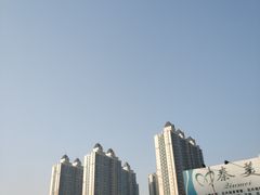 -秦美花卉(天朗·莱茵小城2期店)