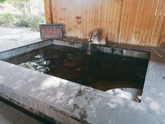 -福州贵安·温泉世界