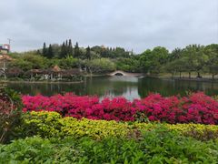 -深圳龙潭公园