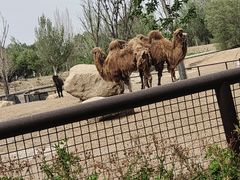 -齐齐哈尔龙沙动植物园
