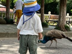 -J Create城市露营咖啡·简餐·宠物(上海动物园店)