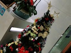 -茂菊口腔连锁(浦东南路店)
