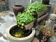iphone_upload_pic-古韵餐厅(湖畔大学店)