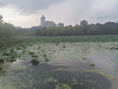 -长春市南湖公园