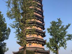 -葛仙湖公园