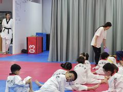 -陈中跆拳道(中关村馆)