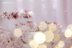 -金禧婚礼定制