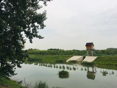 -东郊湿地公园