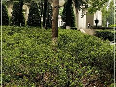 -十九路军淞沪抗日阵亡将士陵园