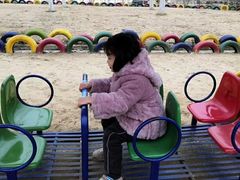 -合肥滨湖国家森林公园