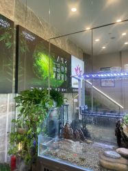 点击看大图 -阅年轻·AI家庭健康体质调理