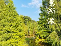 -云溪植物园