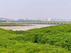-洛阳桥