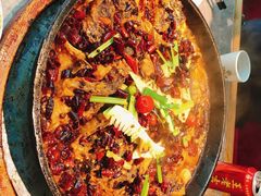 老板恋上鱼-老板恋上鱼(恒隆广场店)