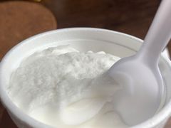 椰子雪糕-洪馨椰子