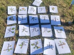 -世纪飞马幼儿园(西城校区)