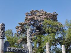 -苏州碑刻博物馆