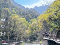 -鸡冠洞风景区