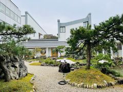 -东方艺术博物馆