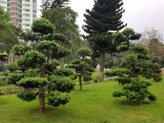 -北部湾广场
