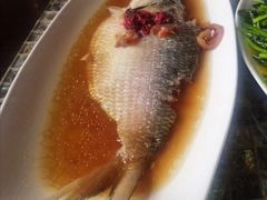 鱼冻-走马楼饭庄(慈城古县城店)
