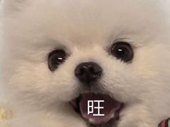 -珍记海鲜粥·海鲜粉