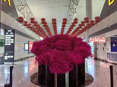 -石家庄正定国际机场-T2航站楼