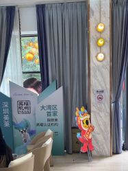 -深圳美莱医疗美容医院