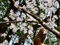 -苏州上方山国家森林公园