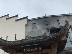 -谢裕大茶行(黎阳店)