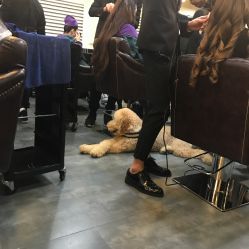 -3AM HAIR SALON染发烫发接发
