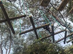 -芦仙山景区-飞越丛林探险乐园