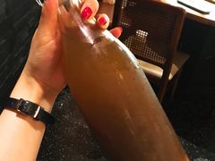 -哥老官重庆美蛙鱼头(虹口龙之梦店)