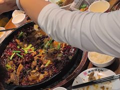 -老板恋上鱼(印象城店)