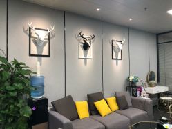 -MJ skin care国际皮肤管理中心