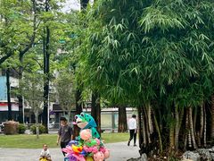 -金砂公园
