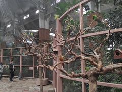 -南宫五洲植物乐园