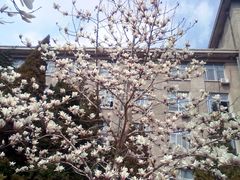 -东北大学(南湖校区)