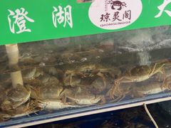 -阳澄湖大闸蟹·琼灵阁牌品牌连锁(吴中总店)