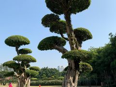 -南宁南湖公园