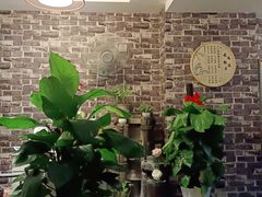 -老成都·古法采耳·禅洗头疗(四川总店)