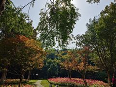-成都市文化公园