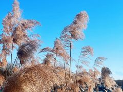 -陶然亭公园