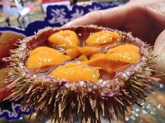 -连鹭海鲜·海肠捞饭·海胆饭(星海店)