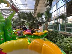 -南宫五洲植物乐园